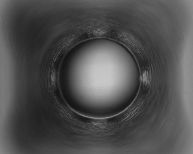 X0000097961299200803241205
