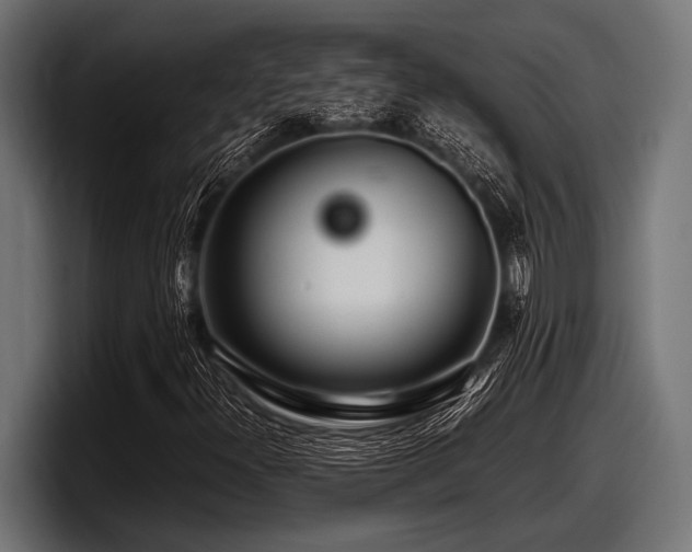 X0000097961300200803241205