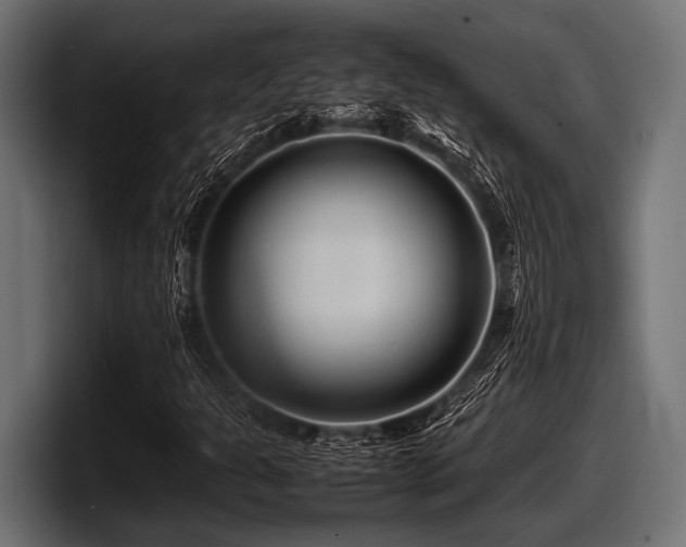 X0000097961301200803241205