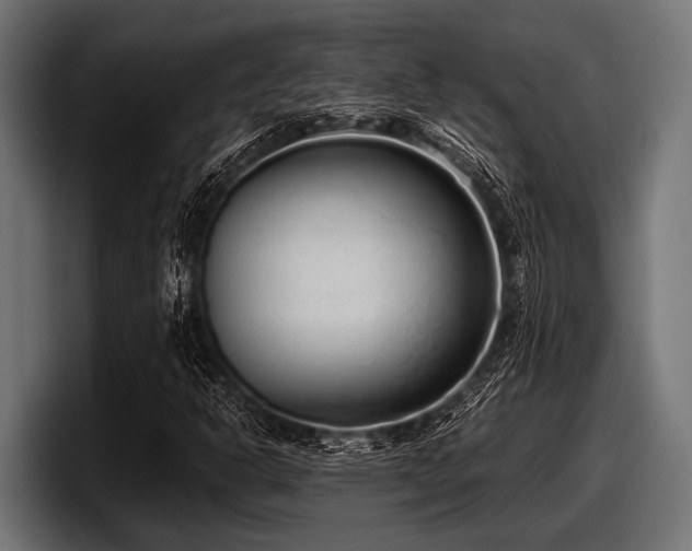X0000097961302200803241205