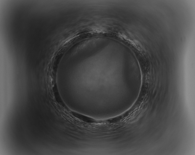 X0000097961303200803241205