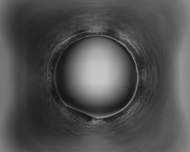 X0000097961304200803241206