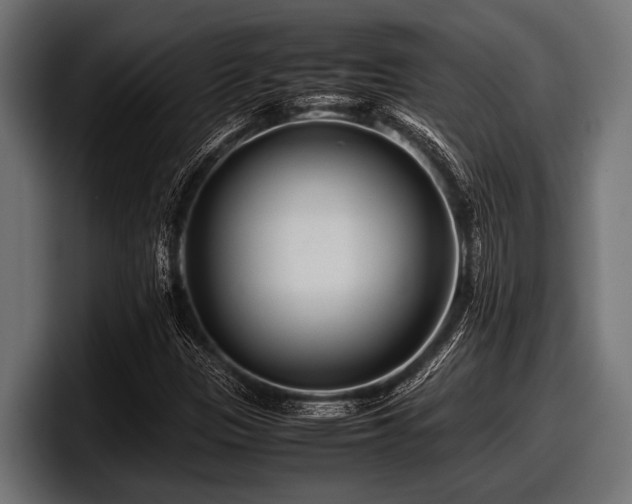 X0000097961305200803241206
