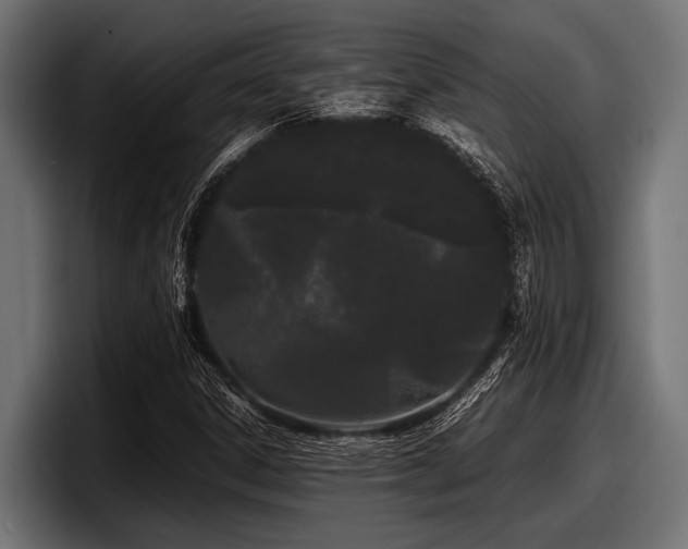 X0000097961306200803241206