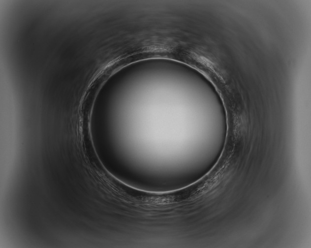 X0000097961307200803241206