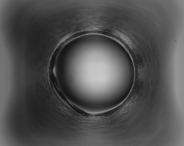 X0000097961308200803241206