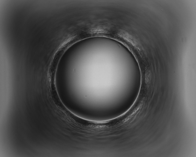X0000097961309200803241206