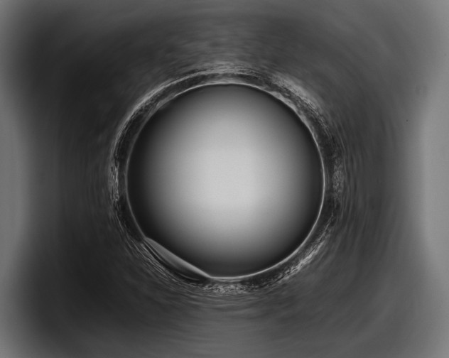 X0000097961310200803241206