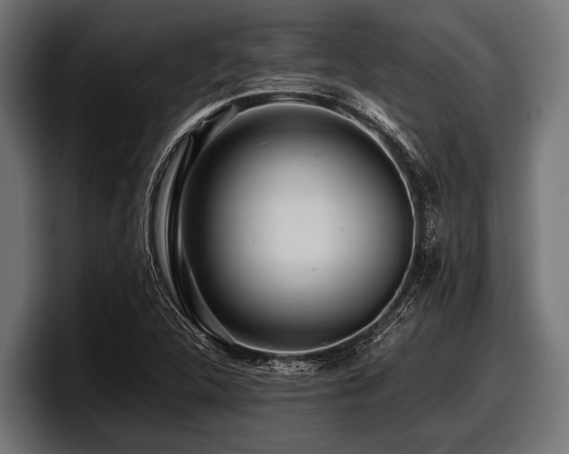 X0000097961312200803241206