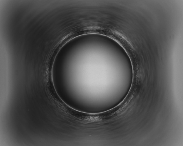 X0000097961313200803241206