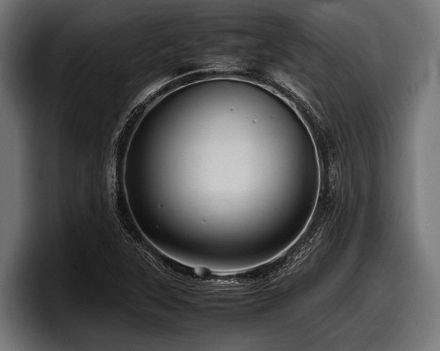 X0000097961315200803241206