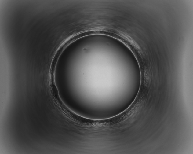 X0000097961316200803241206