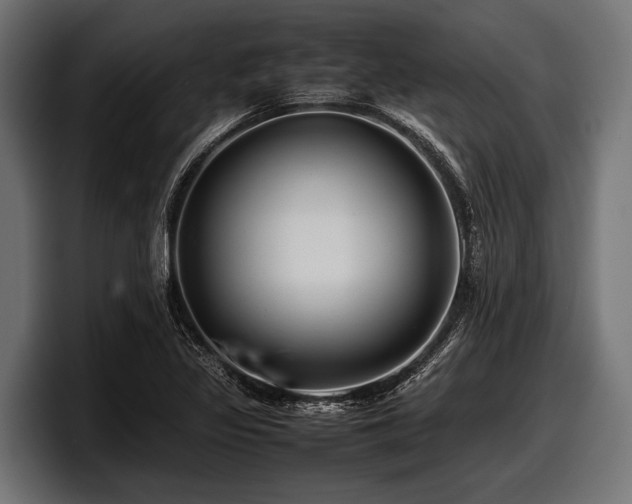 X0000097961317200803241206