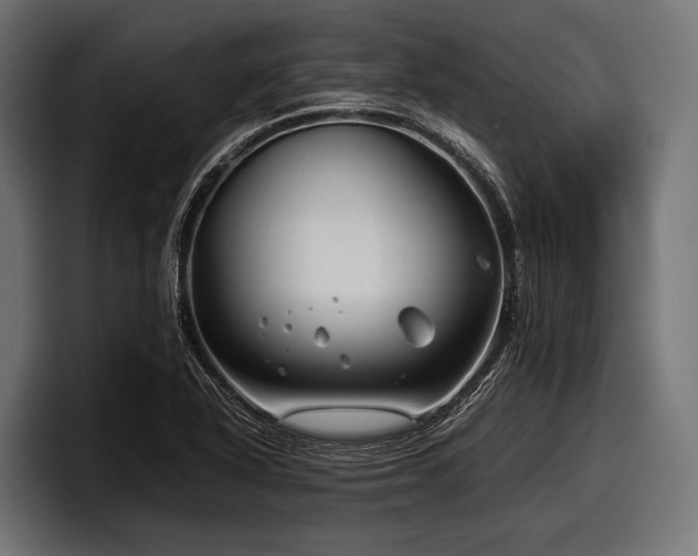 X0000097961318200803241206