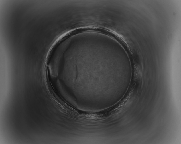 X0000097961319200803241206