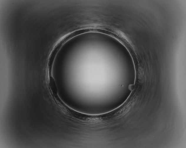 X0000097961320200803241206