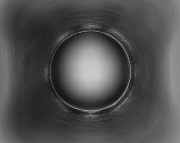 X0000097961321200803241206
