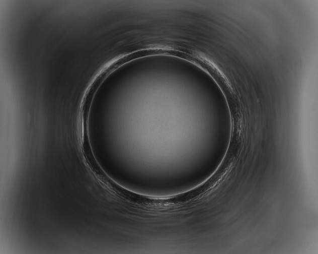 X0000097961323200803241206