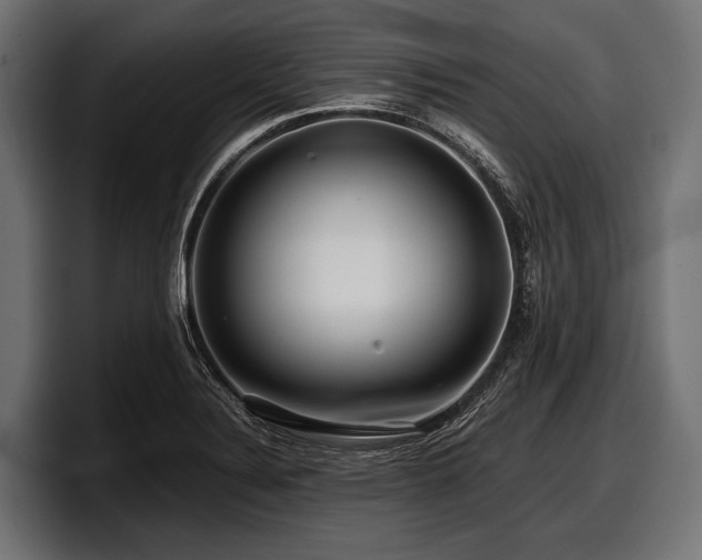 X0000097961324200803241206