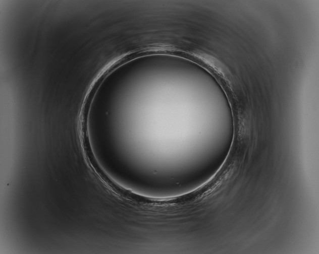 X0000097961325200803241206