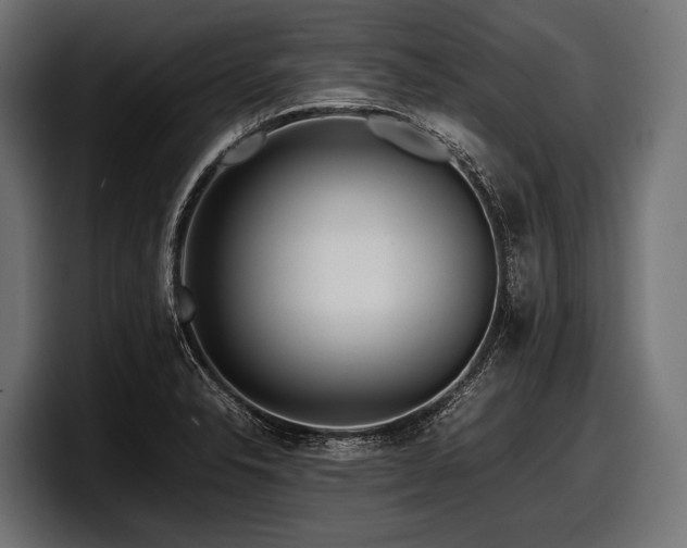 X0000097961326200803241206