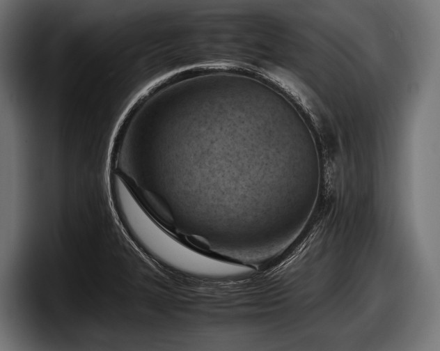 X0000097961327200803241206