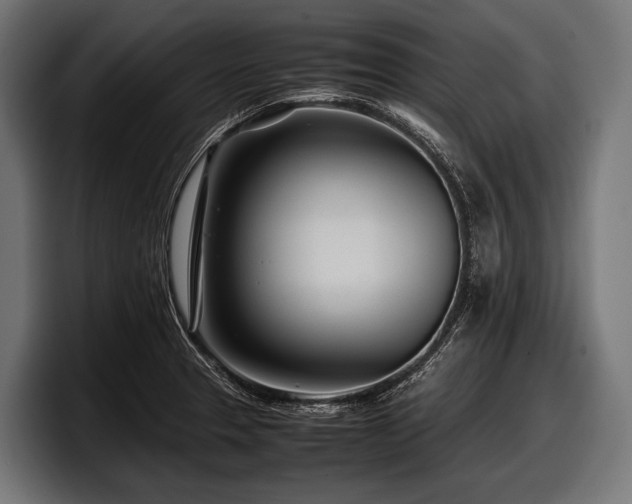 X0000097961329200803241206