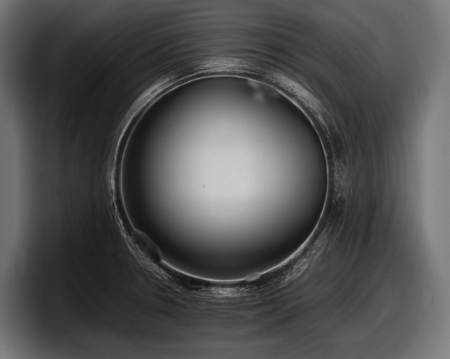 X0000097961330200803241206