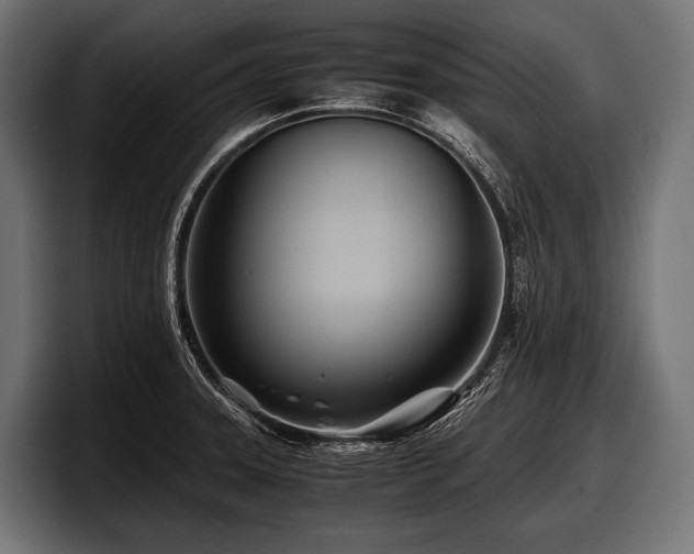 X0000097961331200803241206