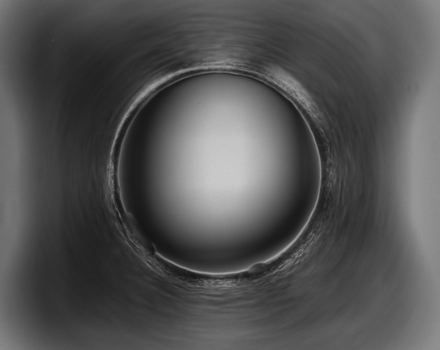 X0000097961332200803241206