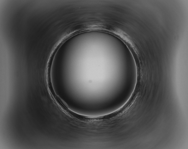 X0000097961333200803241206