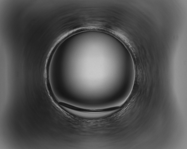X0000097961335200803241206