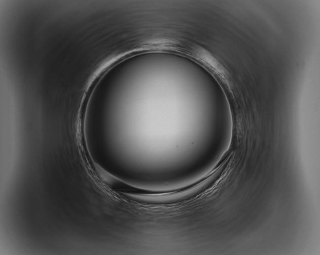 X0000097961336200803241206