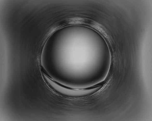 X0000097961337200803241206