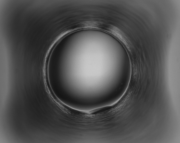 X0000097961339200803241206