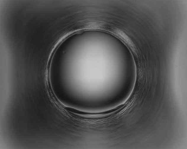 X0000097961340200803241206