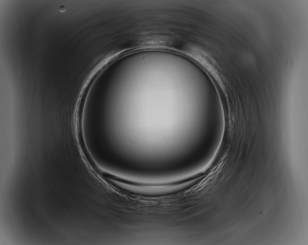 X0000097961341200803241206