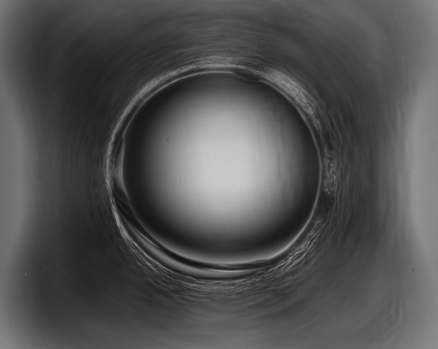 X0000097961342200803241206