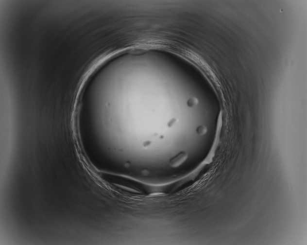X0000097961344200803241206