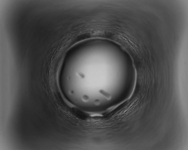 X0000097961345200803241205