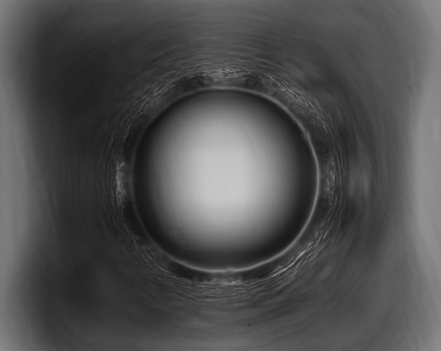 X0000097961346200803241205