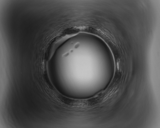 X0000097961347200803241205