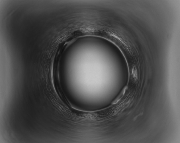 X0000097961348200803241205