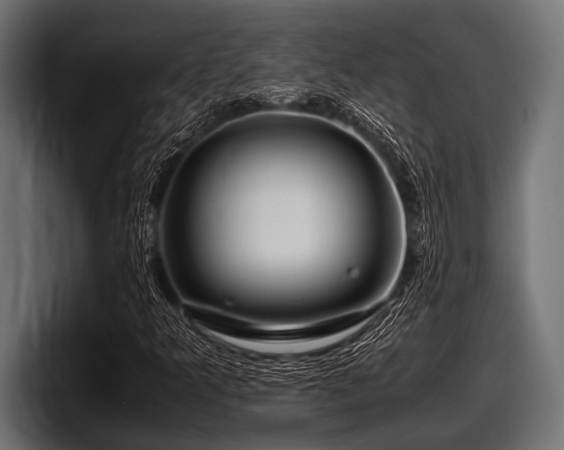 X0000097961349200803241205