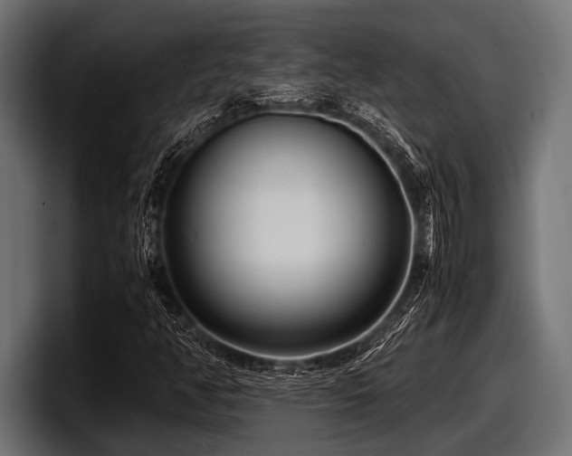 X0000097961350200803241205