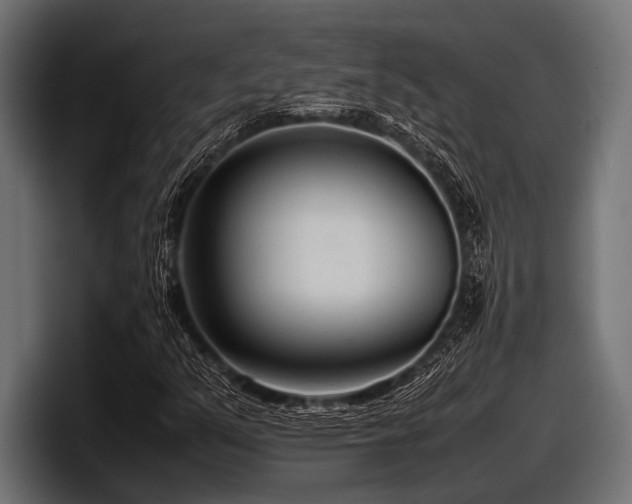 X0000097961351200803241205