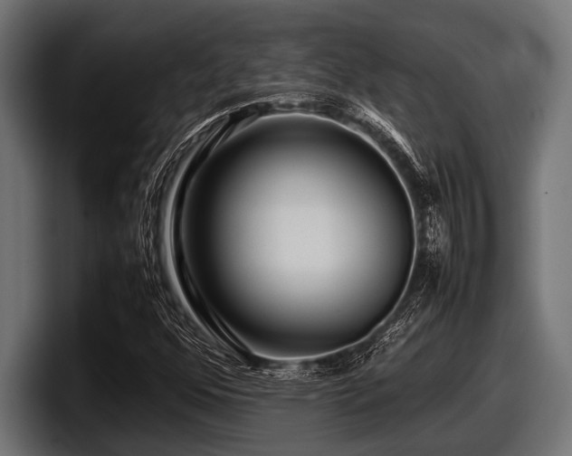 X0000097961352200803241205