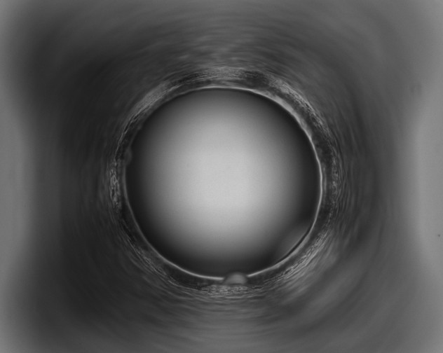 X0000097961354200803241205