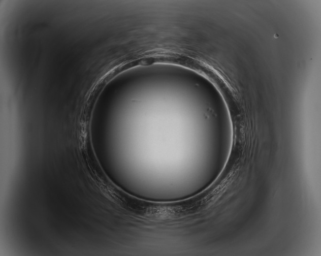 X0000097961355200803241205