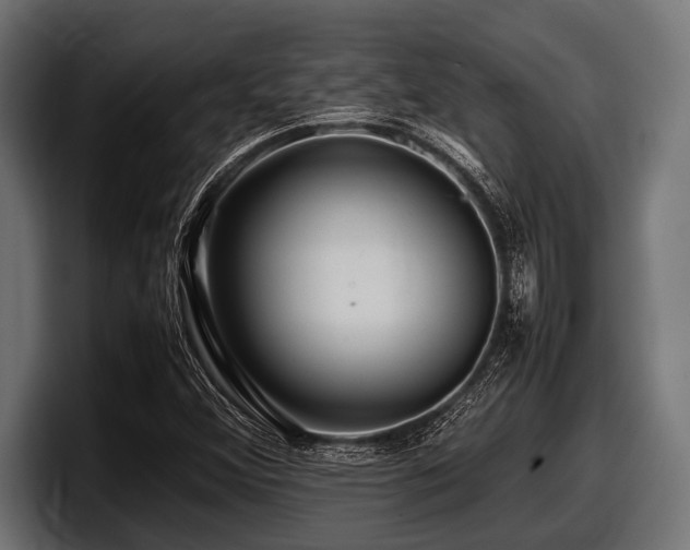 X0000097961356200803241205